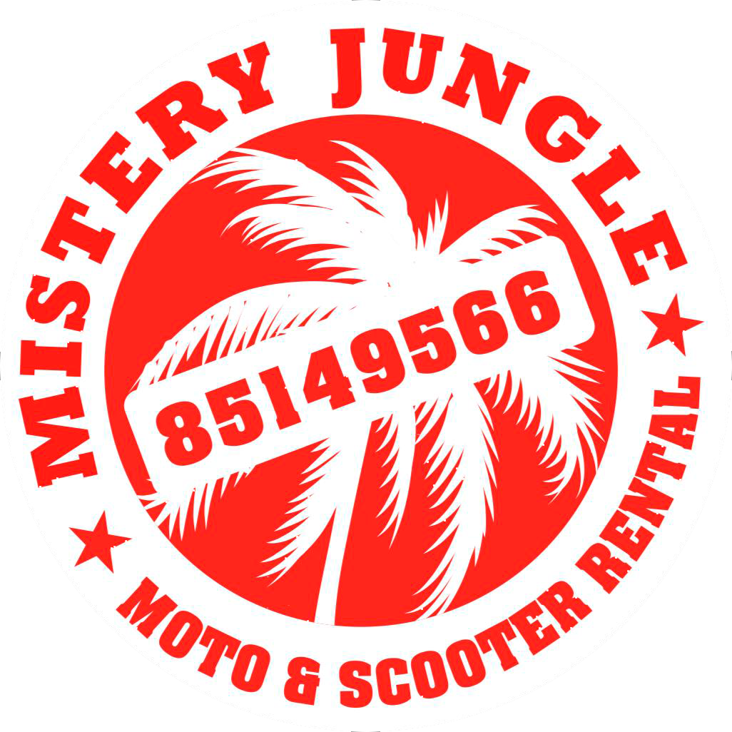 Mistery Jungle