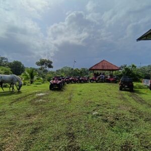 00028333-A024-470E-BB7B-BEB0AD5EA281