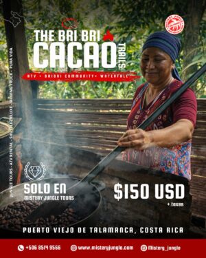 807a881f-0d32-416c-96dd-3b95236d0870 Bribri Cacao Trails