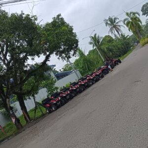 9BBA75A3-F179-42C7-A711-49BFF6A671D4