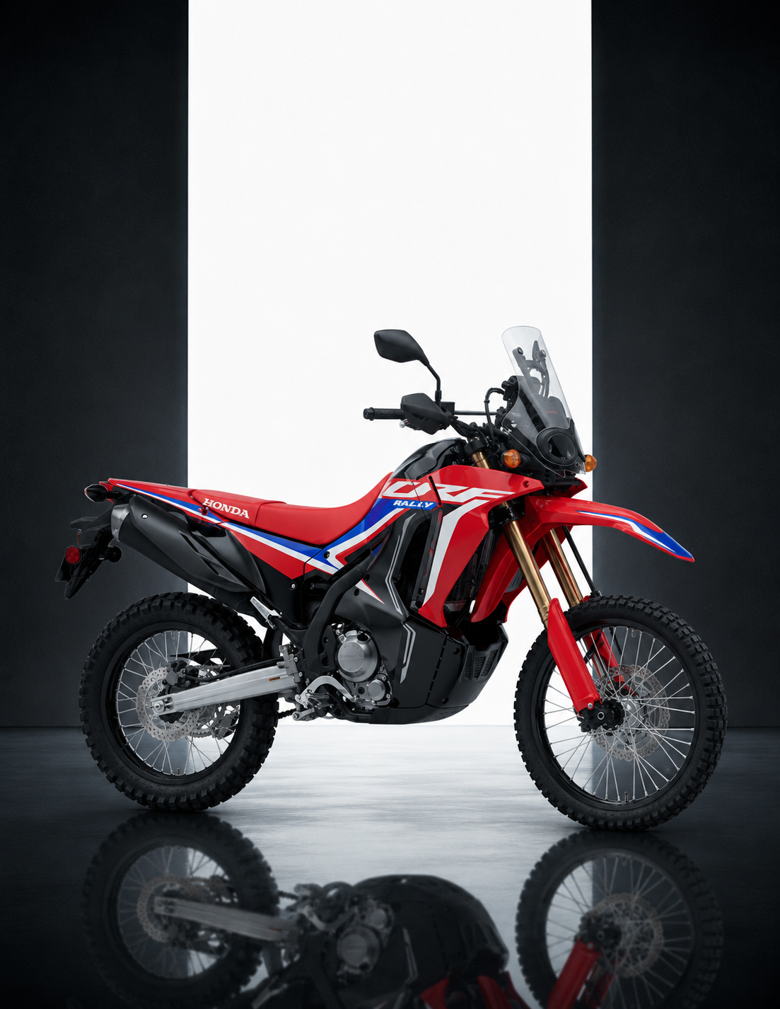 Honda CRF300 Rally