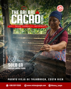 cacao trails Bribri Cacao Trails