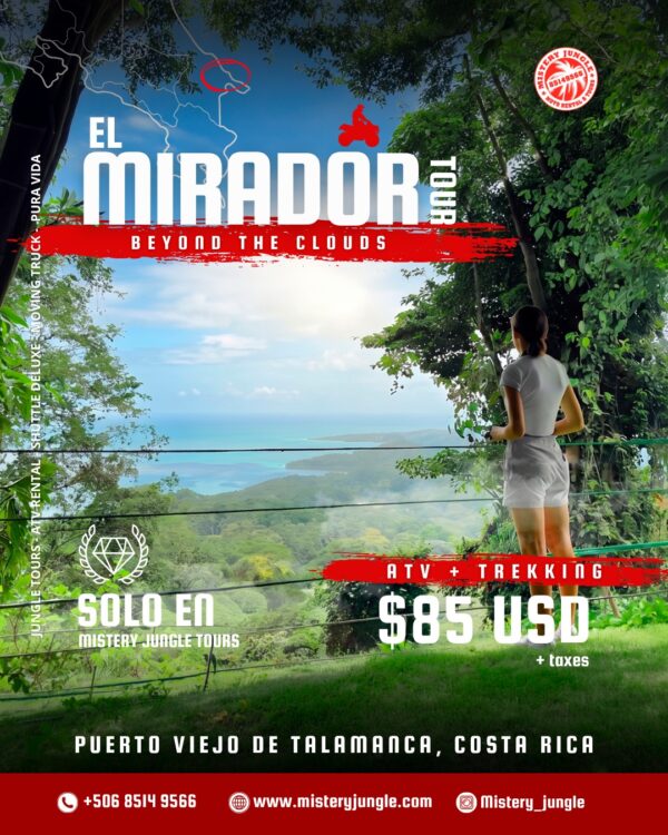 eddce3ad-be67-457c-af55-0e21399a8a5f El Mirador ATV Tour + Trekking