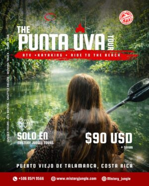 Punta Uva River ATV Tour + Kayaking