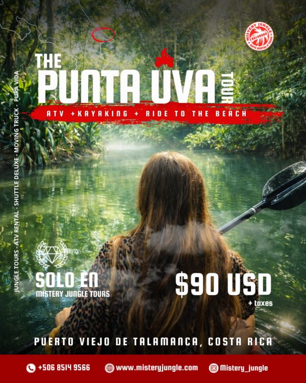 fe82633c-5659-4c36-bea8-58d4dde168d1 Punta Uva River ATV Tour + Kayaking