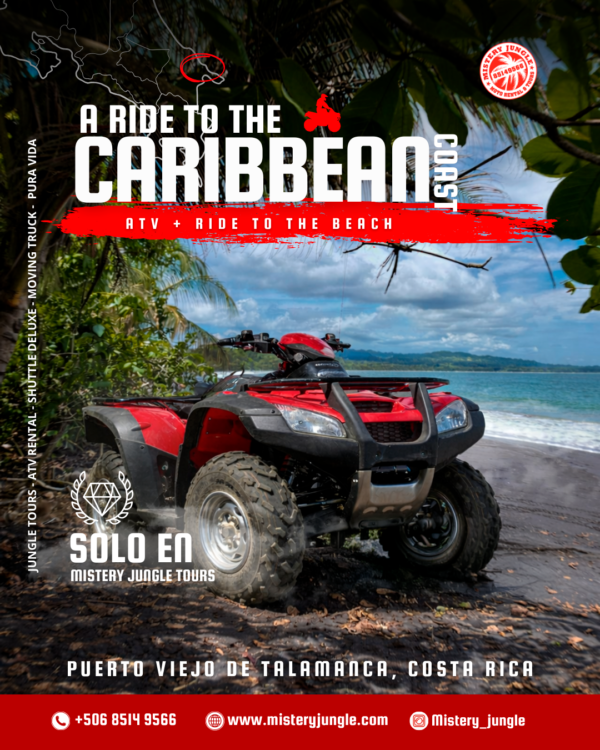 ride to the caribean A Ride to the Caribbean