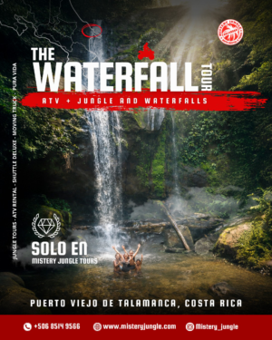 waterfall The Waterfall Tour