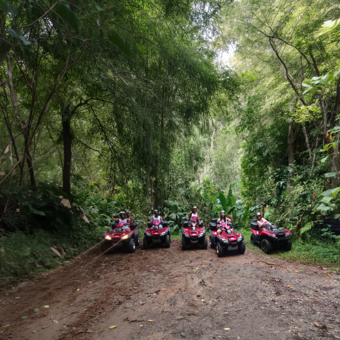 ATVS