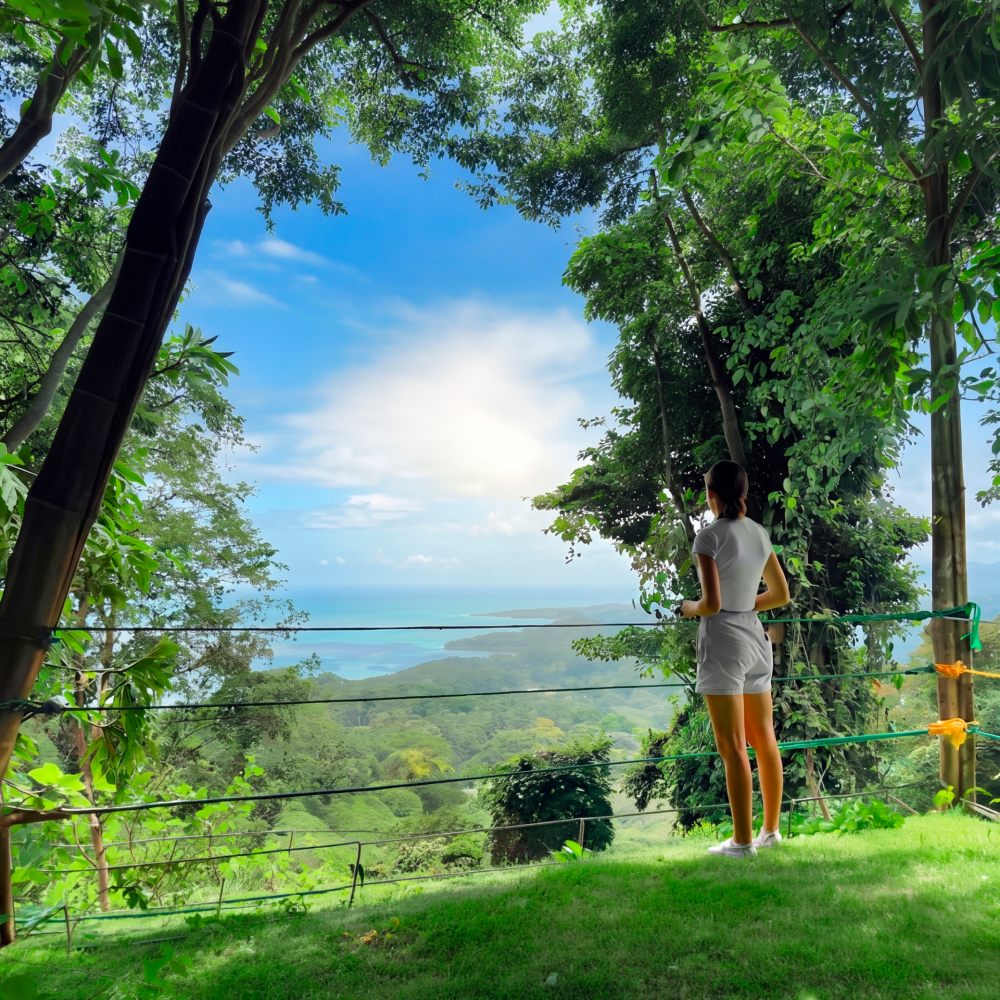 Foto El Mirador 4.3