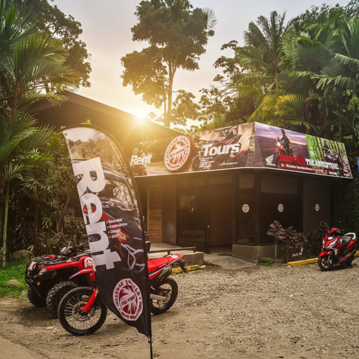 HQ Mistery Jungle