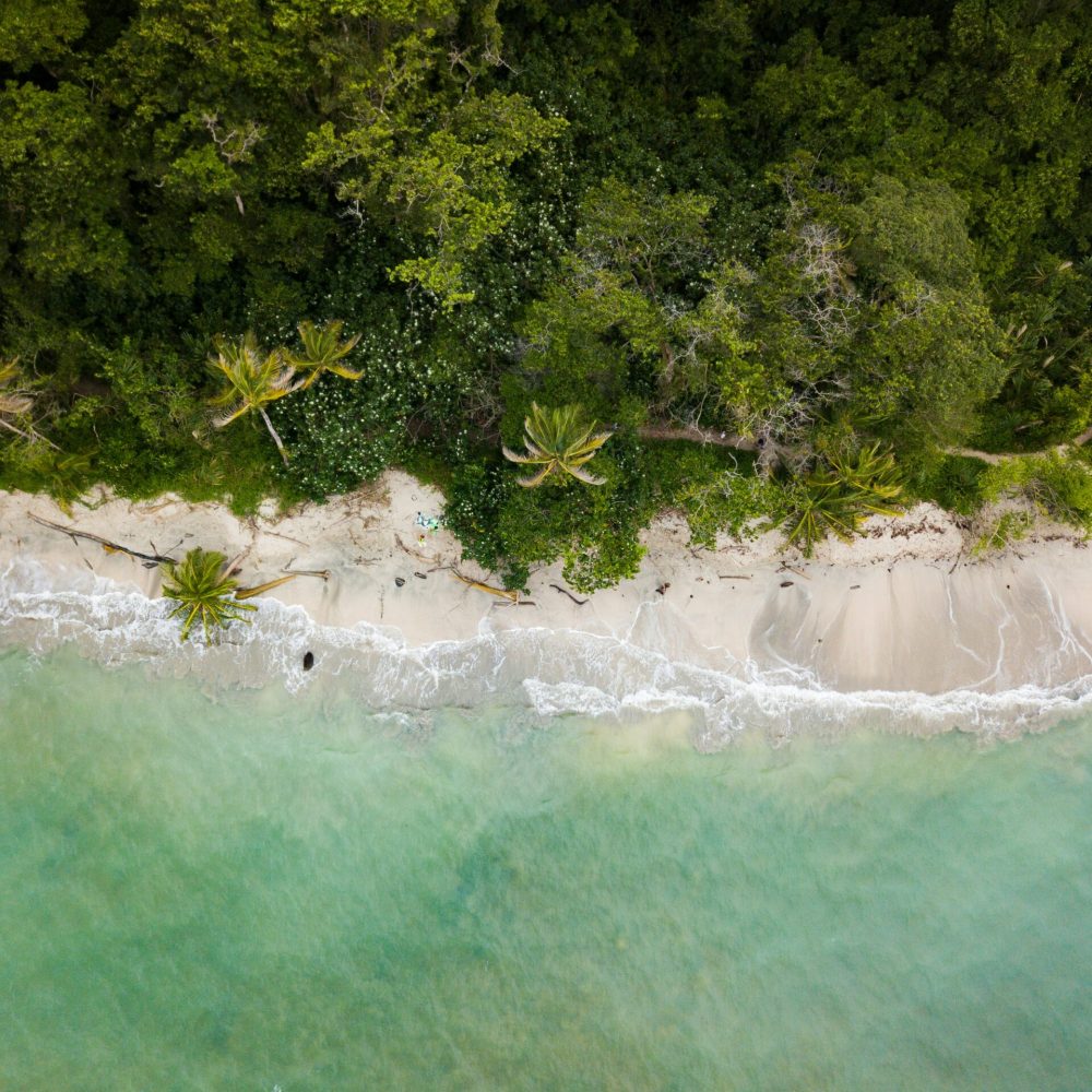 berti-benbanaste-tCSWxjURbng-unsplash