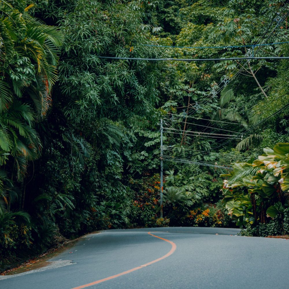 elianna-gill-nlaOjkaaQh0-unsplash