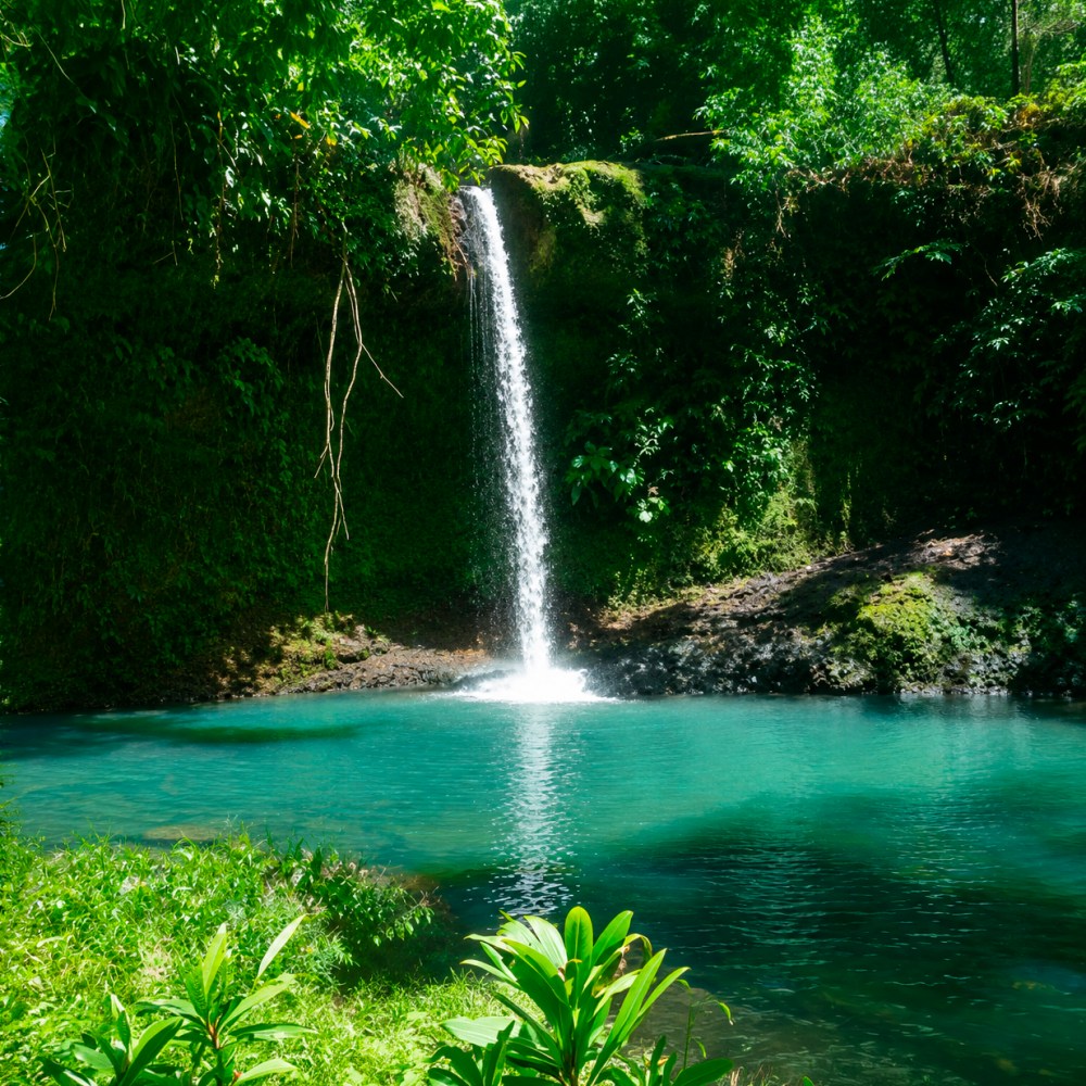 la fuente cascada