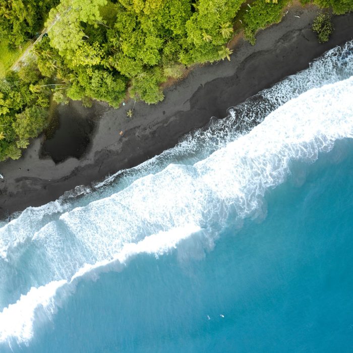 playa negra vertical